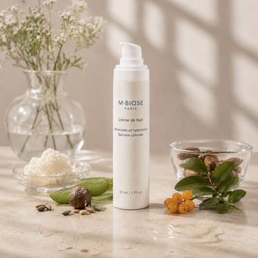 Crème de Nuit — Céramides et Hydratation